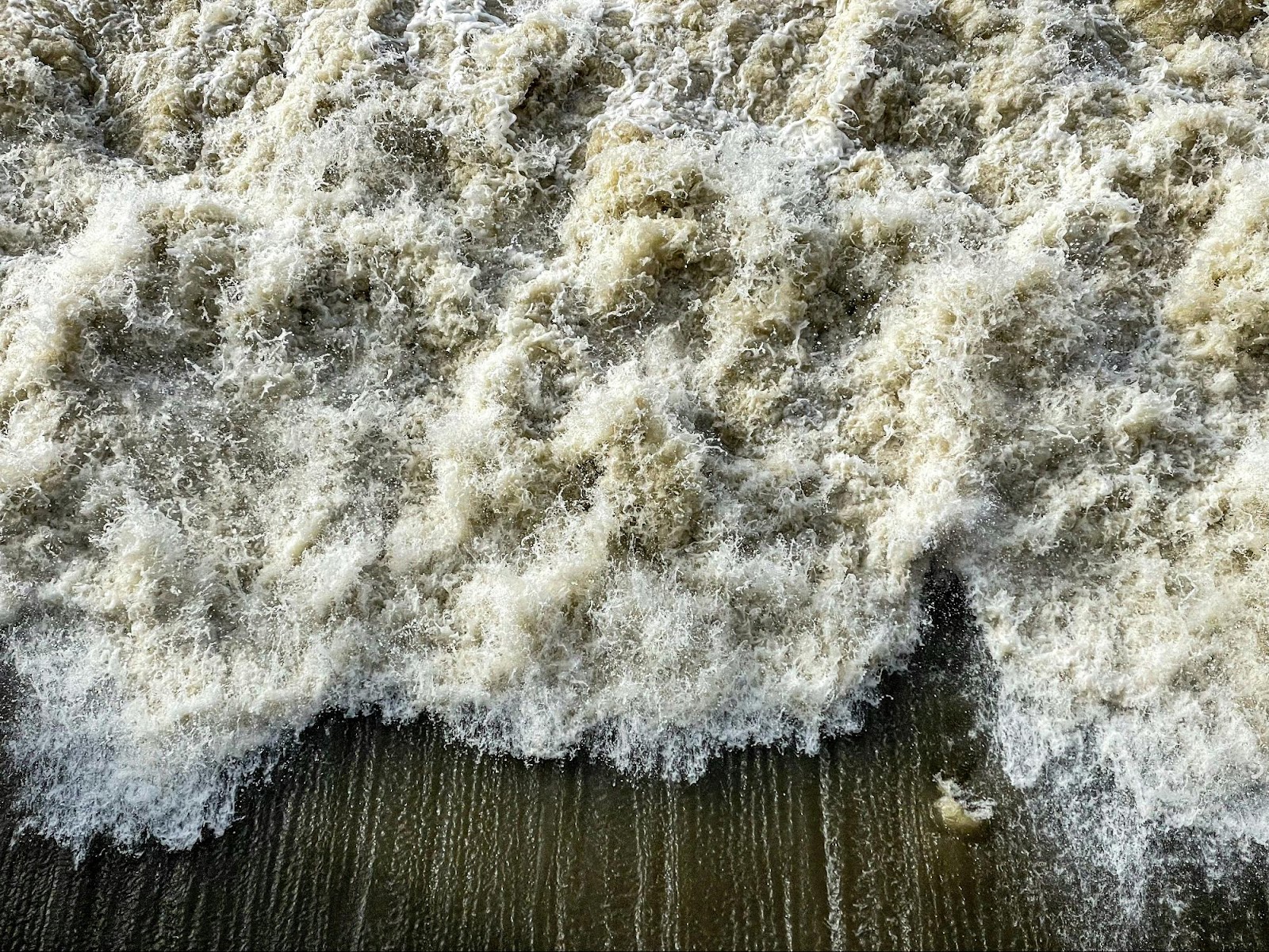 Natural ingredients for mold removal