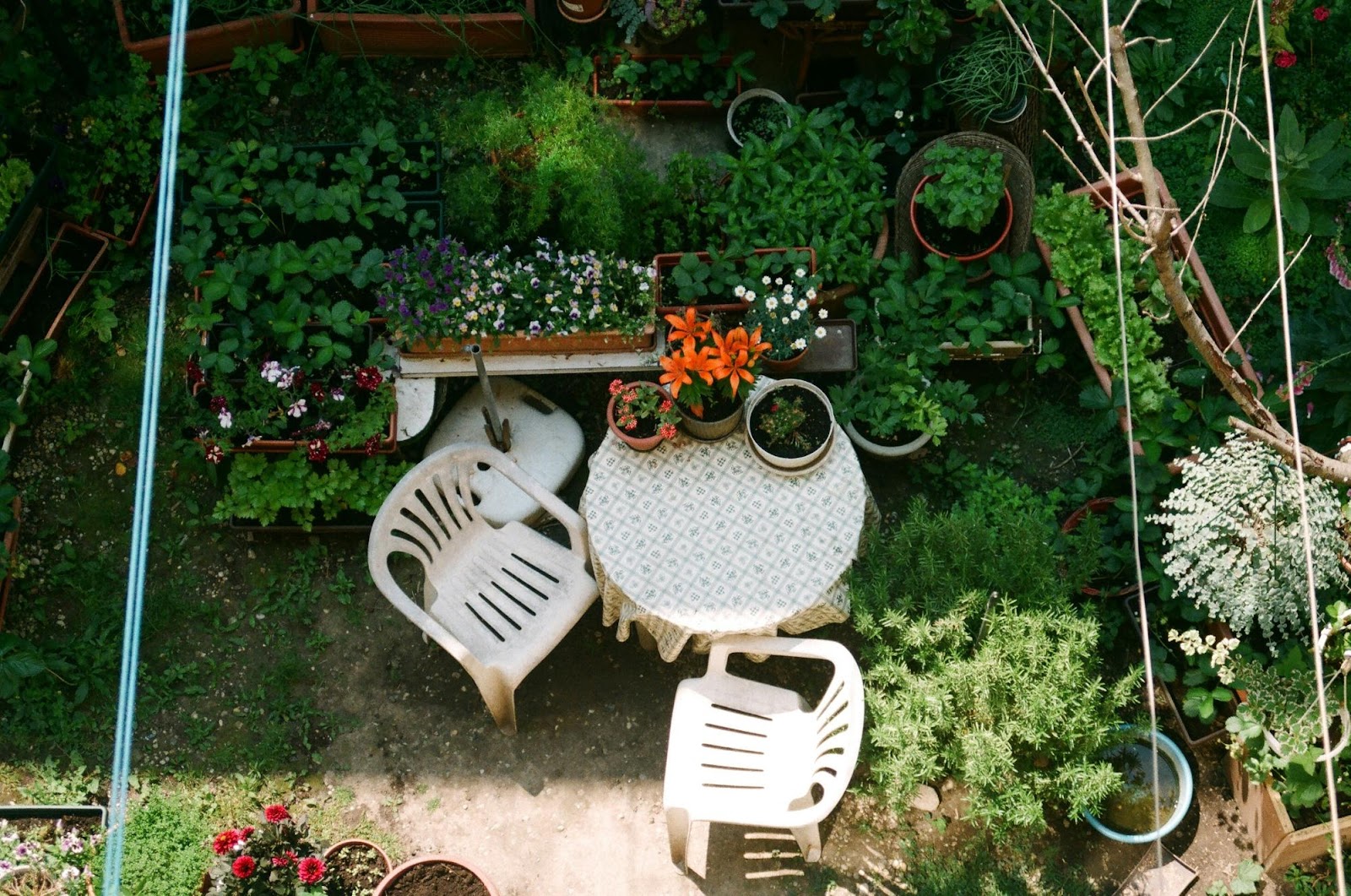 Outdoor Living Spaces