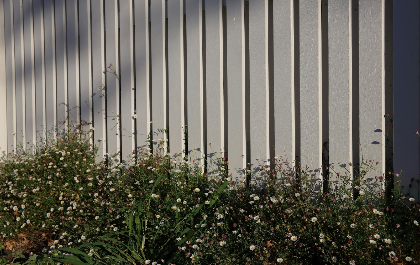 Curb Appeal Improvements