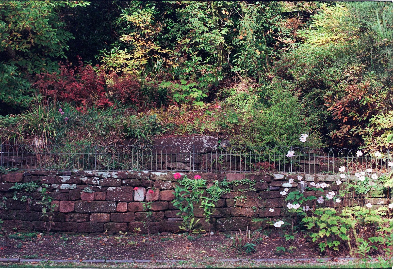 Retaining Wall