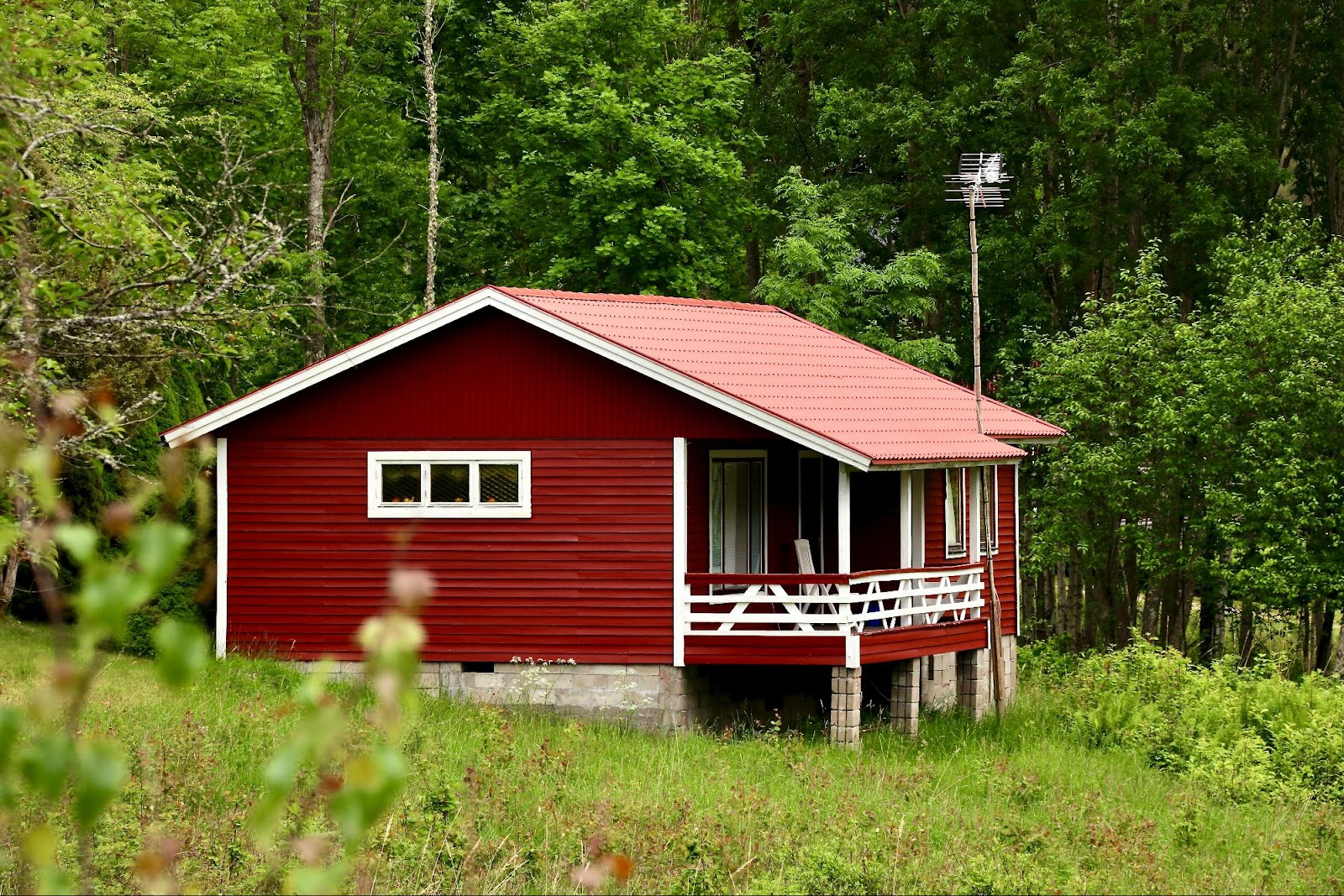 Red cabin in forest