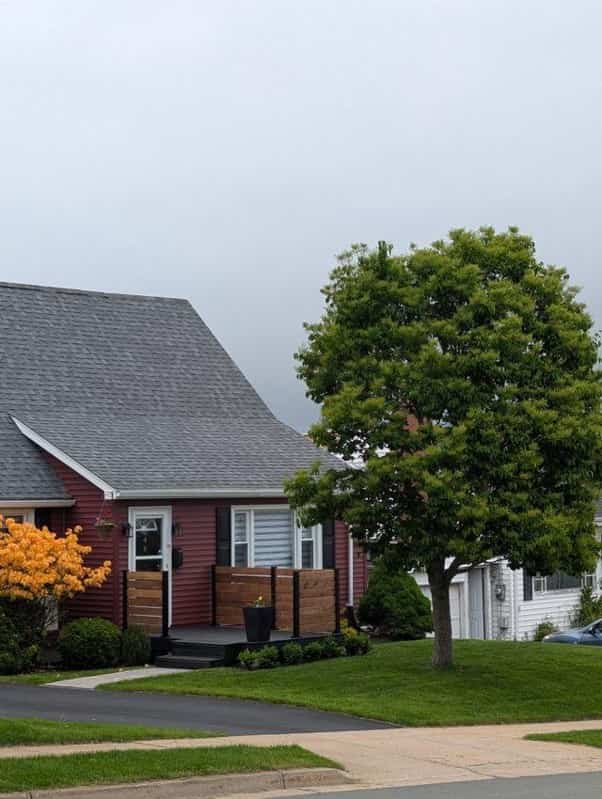 Residential homes with vinyl siding beside a mature tree